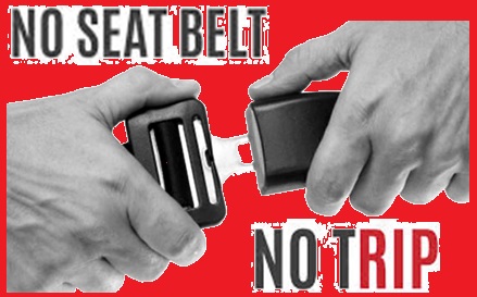 seat belt